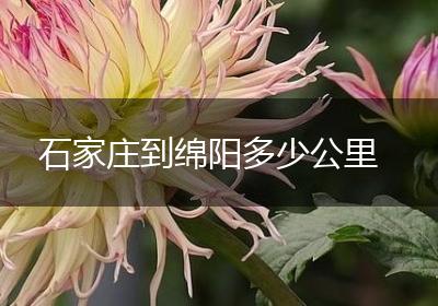 石家庄到绵阳多少公里