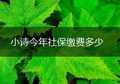 小诗今年社保缴费多少