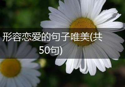 形容恋爱的句子唯美(共50句)