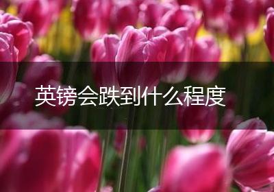 英镑会跌到什么程度