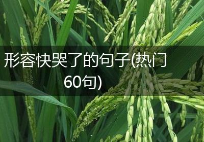 形容快哭了的句子(热门60句)