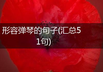 形容弹琴的句子(汇总51句)