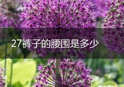 27裤子的腰围是多少