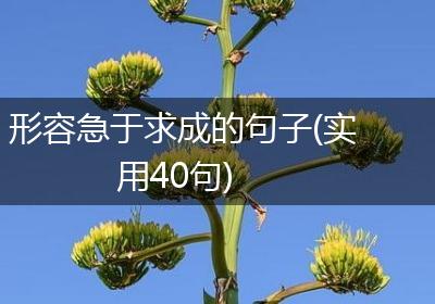 形容急于求成的句子(实用40句)