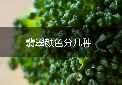 翡翠颜色分几种