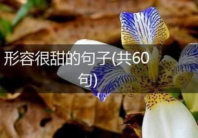 形容很甜的句子(共60句)