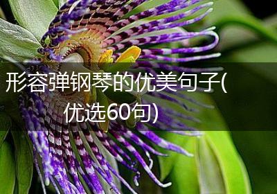 形容弹钢琴的优美句子(优选60句)