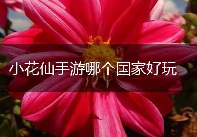 小花仙手游哪个国家好玩