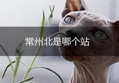 常州北是哪个站