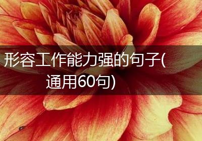 形容工作能力强的句子(通用60句)