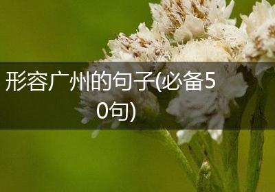 形容广州的句子(必备50句)