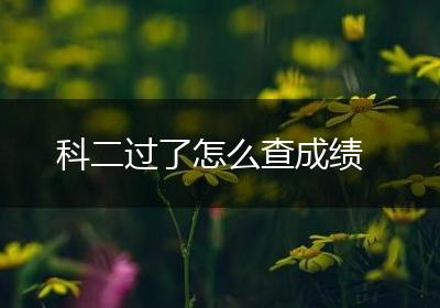 科二过了怎么查成绩