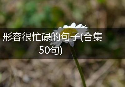 形容很忙碌的句子(合集50句)