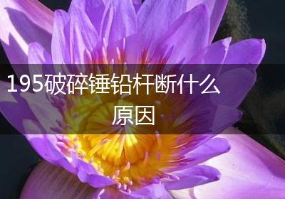 195破碎锤铅杆断什么原因