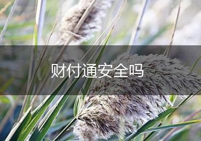 财付通安全吗