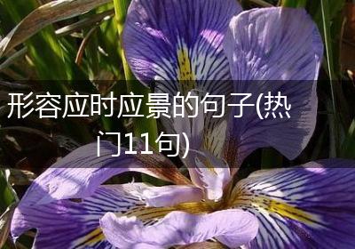 形容应时应景的句子(热门11句)