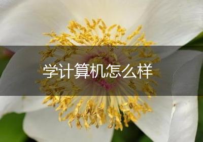 学计算机怎么样