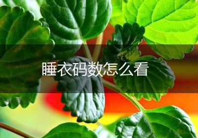 睡衣码数怎么看
