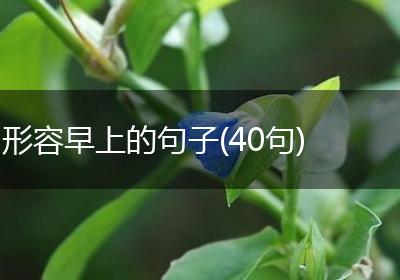 形容早上的句子(40句)