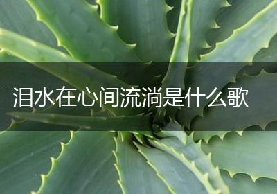 泪水在心间流淌是什么歌