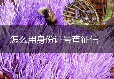 怎么用身份证号查征信