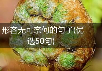 形容无可奈何的句子(优选50句)