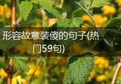 形容故意装傻的句子(热门59句)