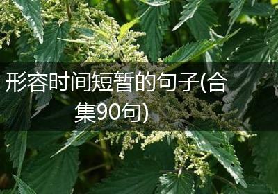 形容时间短暂的句子(合集90句)