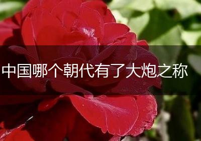 中国哪个朝代有了大炮之称