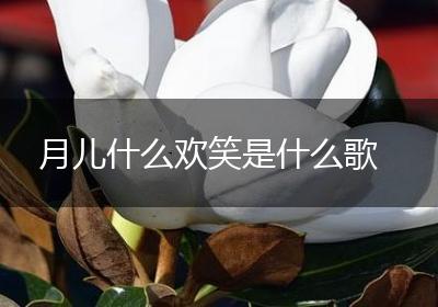 月儿什么欢笑是什么歌