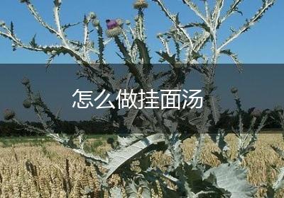 怎么做挂面汤