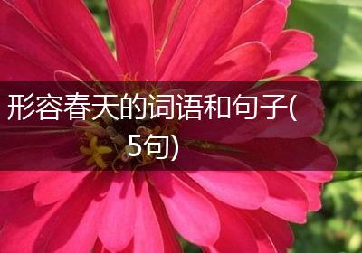 形容春天的词语和句子(5句)