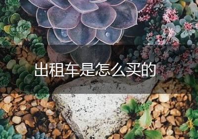 出租车是怎么买的