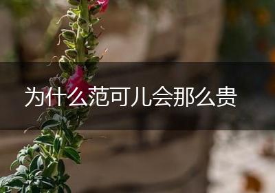 为什么范可儿会那么贵