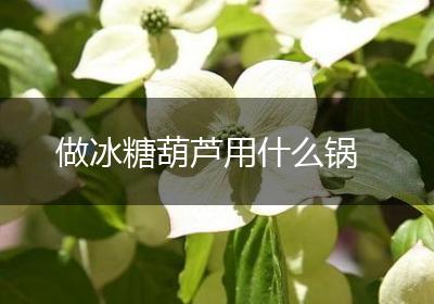 做冰糖葫芦用什么锅