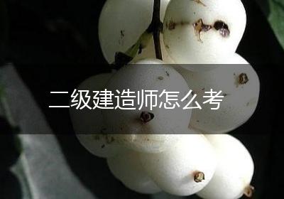 二级建造师怎么考