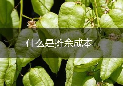 什么是摊余成本