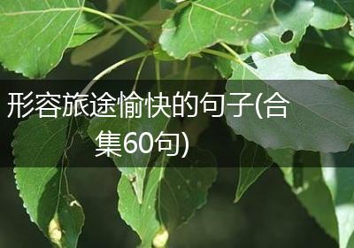 形容旅途愉快的句子(合集60句)