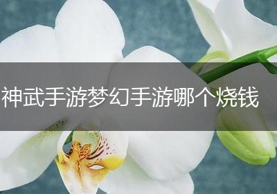 神武手游梦幻手游哪个烧钱