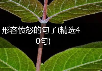 形容愤怒的句子(精选40句)