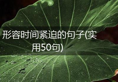形容时间紧迫的句子(实用50句)