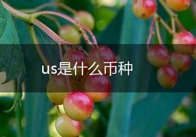 us是什么币种