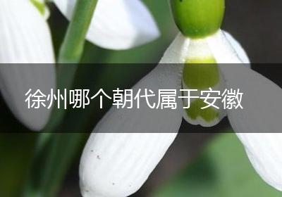 徐州哪个朝代属于安徽