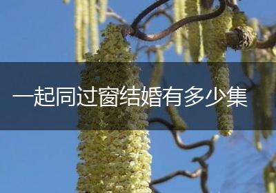 一起同过窗结婚有多少集