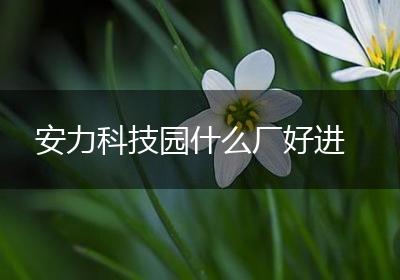 安力科技园什么厂好进