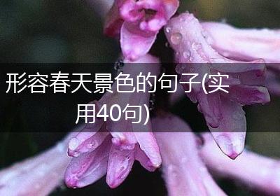 形容春天景色的句子(实用40句)