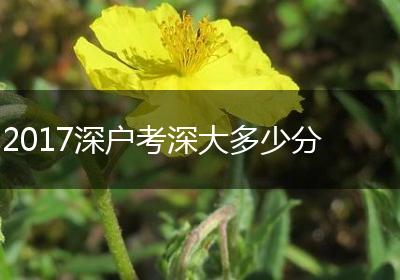 2017深户考深大多少分