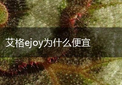 艾格ejoy为什么便宜