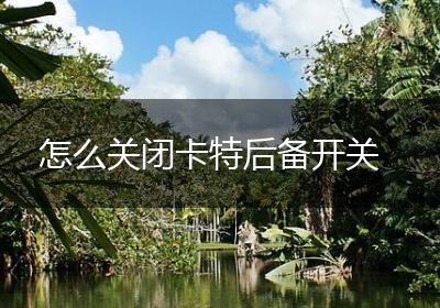 怎么关闭卡特后备开关