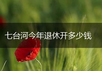 七台河今年退休开多少钱